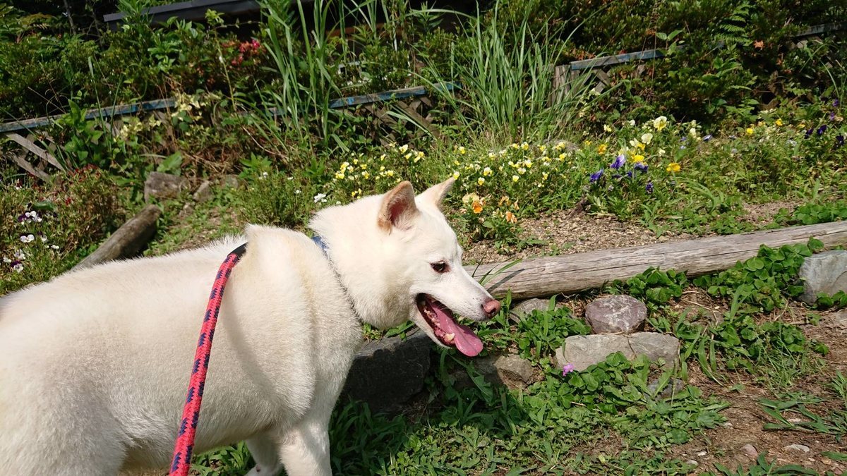 f:id:roukenhome-ann:20190622140320j:plain