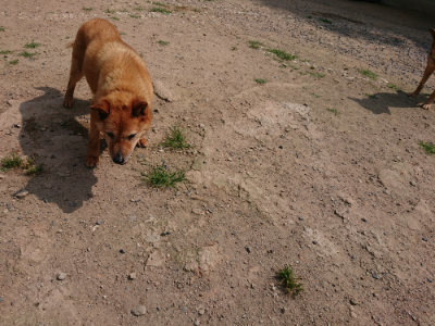 f:id:roukenhome-ann:20190622140537j:plain