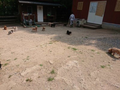 f:id:roukenhome-ann:20190622140613j:plain