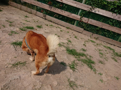 f:id:roukenhome-ann:20190622141215j:plain