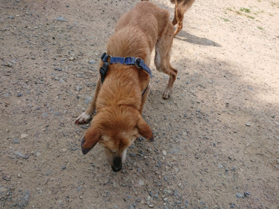 f:id:roukenhome-ann:20190622141230j:plain