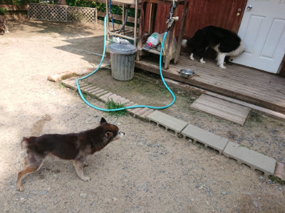 f:id:roukenhome-ann:20190622141251j:plain