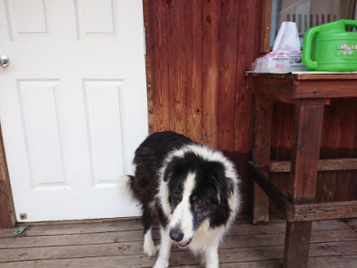 f:id:roukenhome-ann:20190622141314j:plain