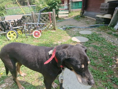 f:id:roukenhome-ann:20190622141347j:plain