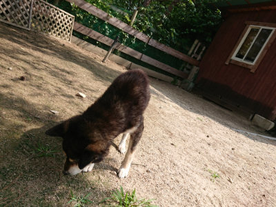 f:id:roukenhome-ann:20190622141505j:plain