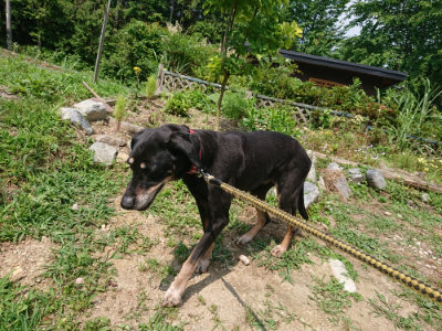 f:id:roukenhome-ann:20190622141520j:plain