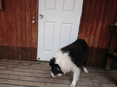 f:id:roukenhome-ann:20190622141541j:plain