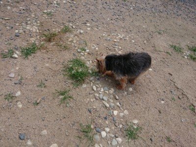 f:id:roukenhome-ann:20190622141811j:plain