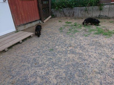 f:id:roukenhome-ann:20190622141834j:plain