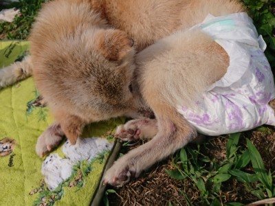 f:id:roukenhome-ann:20190622141844j:plain