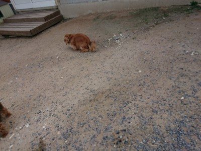 f:id:roukenhome-ann:20190622141951j:plain