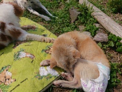 f:id:roukenhome-ann:20190622142002j:plain