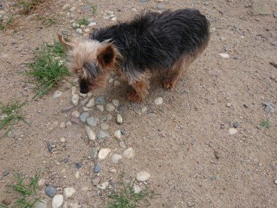 f:id:roukenhome-ann:20190622142006j:plain