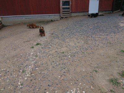 f:id:roukenhome-ann:20190622142010j:plain