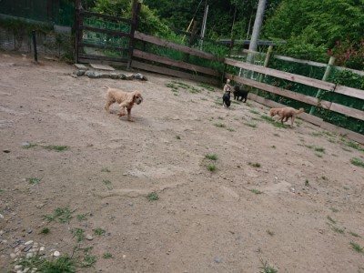 f:id:roukenhome-ann:20190622142022j:plain