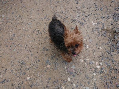 f:id:roukenhome-ann:20190622142034j:plain