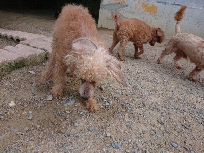 f:id:roukenhome-ann:20190622142202j:plain