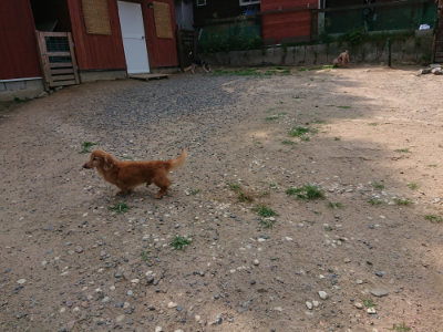 f:id:roukenhome-ann:20190622142218j:plain