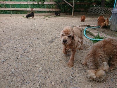 f:id:roukenhome-ann:20190622142308j:plain