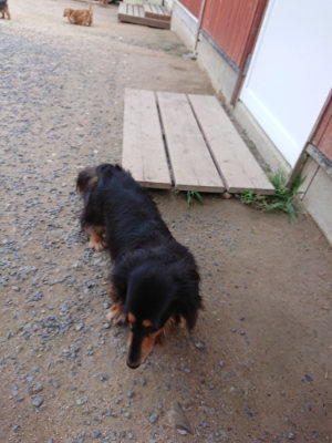 f:id:roukenhome-ann:20190622142710j:plain