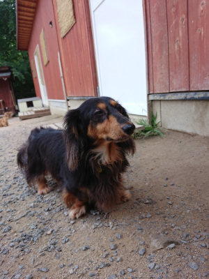 f:id:roukenhome-ann:20190622142730j:plain