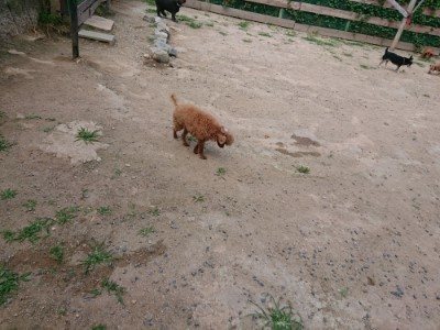 f:id:roukenhome-ann:20190622142734j:plain