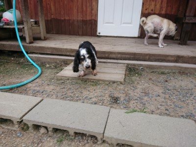 f:id:roukenhome-ann:20190622142742j:plain