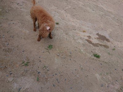 f:id:roukenhome-ann:20190622142751j:plain