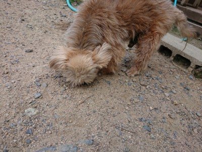 f:id:roukenhome-ann:20190622142755j:plain