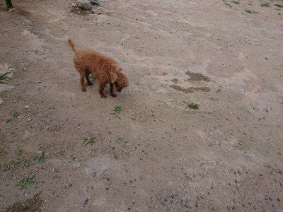 f:id:roukenhome-ann:20190622142804j:plain