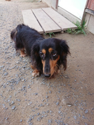 f:id:roukenhome-ann:20190622142828j:plain