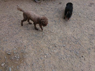 f:id:roukenhome-ann:20190622142842j:plain