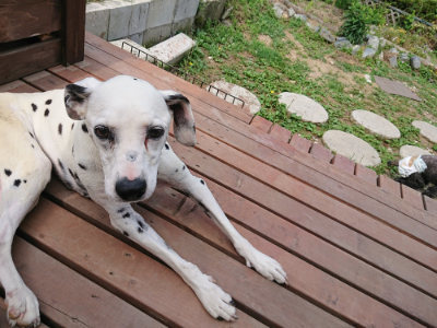 f:id:roukenhome-ann:20190622142859j:plain