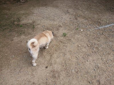 f:id:roukenhome-ann:20190622142917j:plain