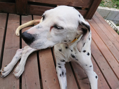 f:id:roukenhome-ann:20190622142929j:plain