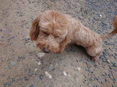 f:id:roukenhome-ann:20190622142938j:plain