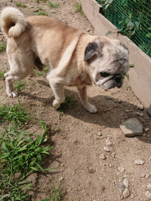 f:id:roukenhome-ann:20190624085957j:plain