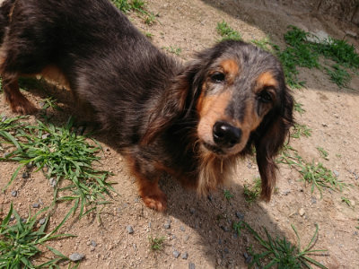 f:id:roukenhome-ann:20190624090040j:plain