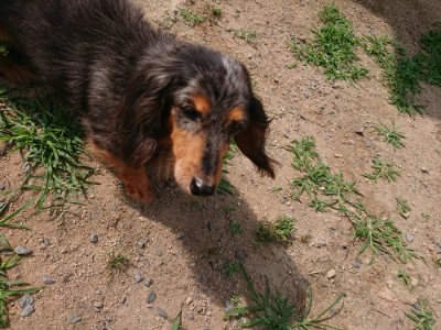 f:id:roukenhome-ann:20190624090130j:plain