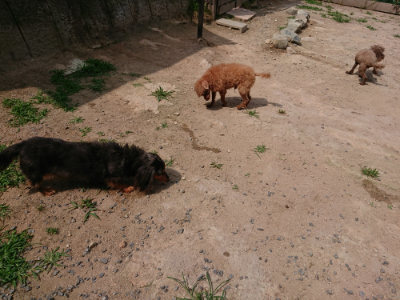 f:id:roukenhome-ann:20190624090137j:plain