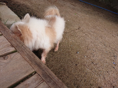 f:id:roukenhome-ann:20190624090146j:plain