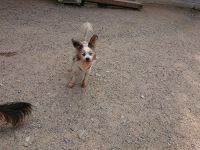 f:id:roukenhome-ann:20190624090154j:plain