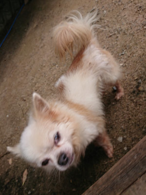 f:id:roukenhome-ann:20190624090159j:plain