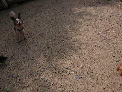 f:id:roukenhome-ann:20190624090217j:plain