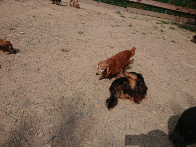 f:id:roukenhome-ann:20190624090228j:plain