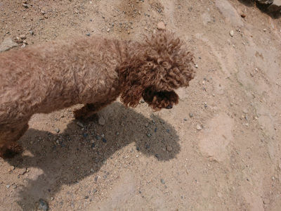 f:id:roukenhome-ann:20190624090233j:plain