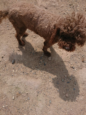 f:id:roukenhome-ann:20190624090252j:plain