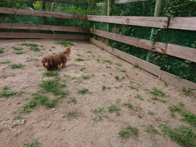 f:id:roukenhome-ann:20190624090306j:plain