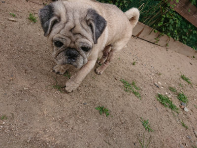 f:id:roukenhome-ann:20190624090331j:plain