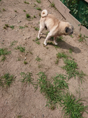 f:id:roukenhome-ann:20190624090352j:plain